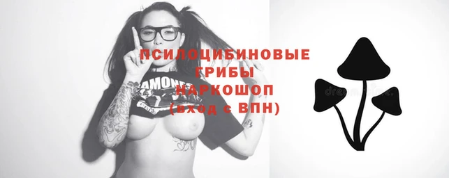 винт Каменногорск