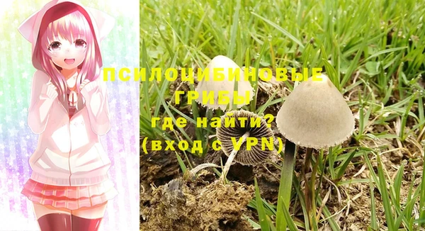 винт Каменногорск