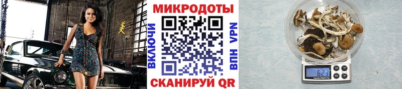 Купить где  Давлеканово  Галлюциногенные грибы Cubensis 
